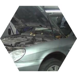 Соната с открытым капотом