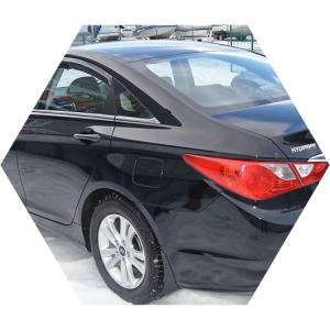 черная Соната сзади