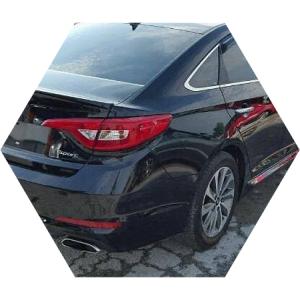 черная Соната сзади