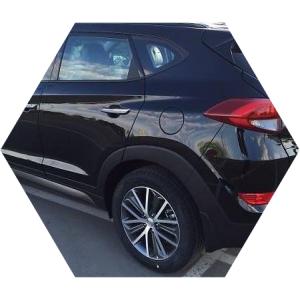 Туксон сзади на улице