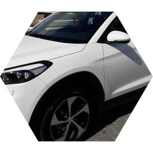 белый Туксон